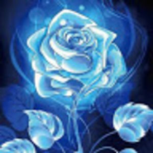 Meet your Posher, Missbluerose